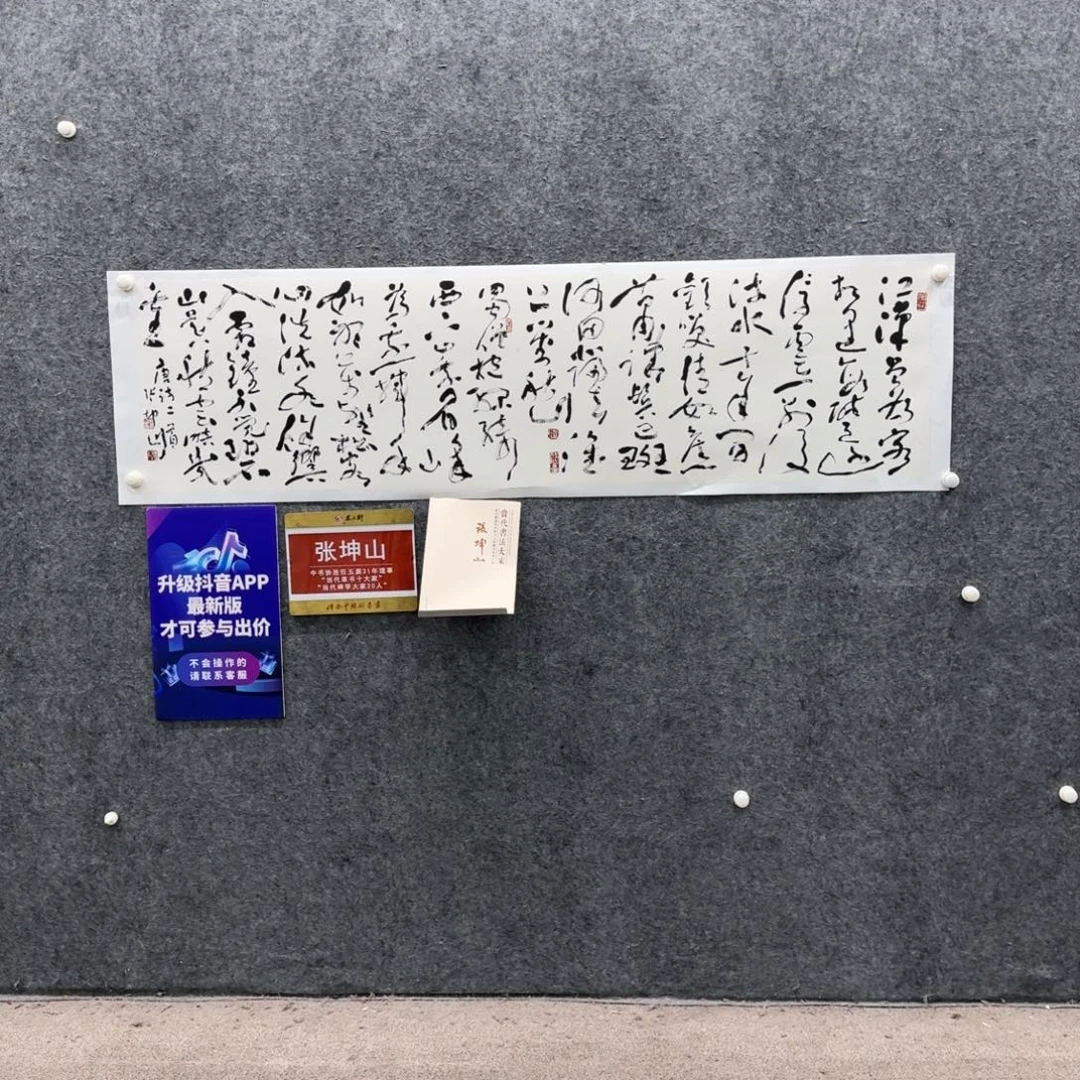 书法书法ZKS老师作品