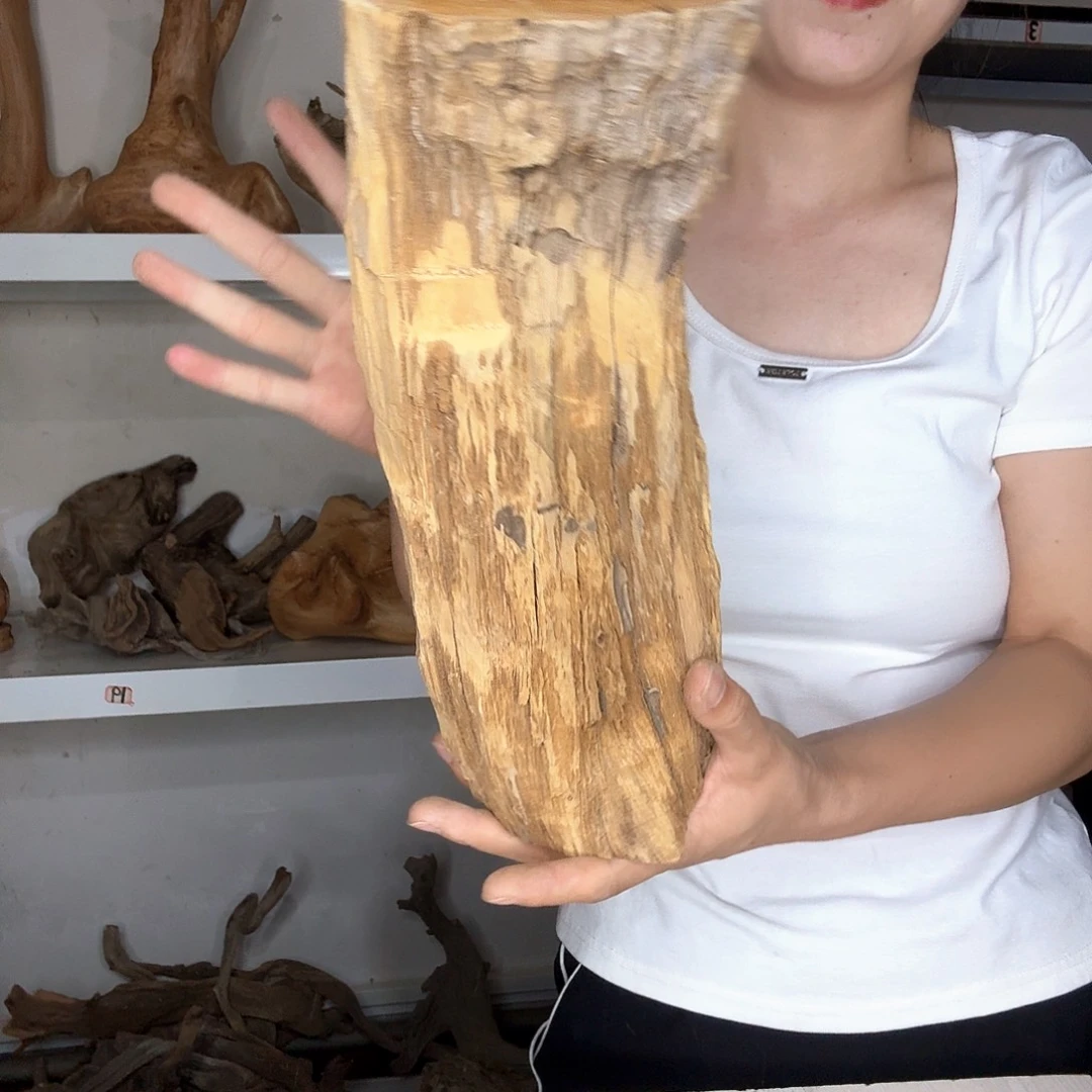 静***茶木太行崖柏摆件摆件