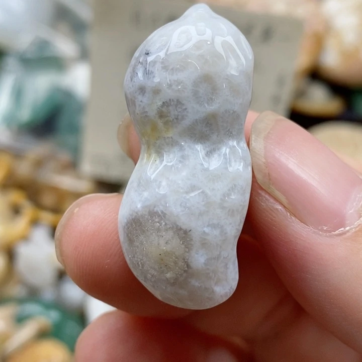 硅化珊瑚（珊瑚玉）未镶嵌颈饰