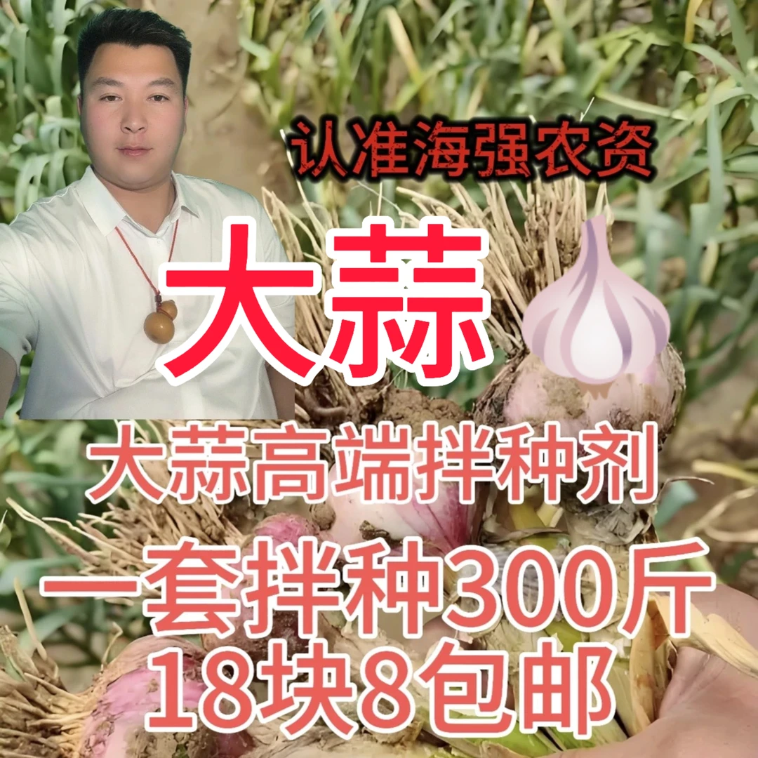 大蒜高端拌种营养生根壮苗一套包邮