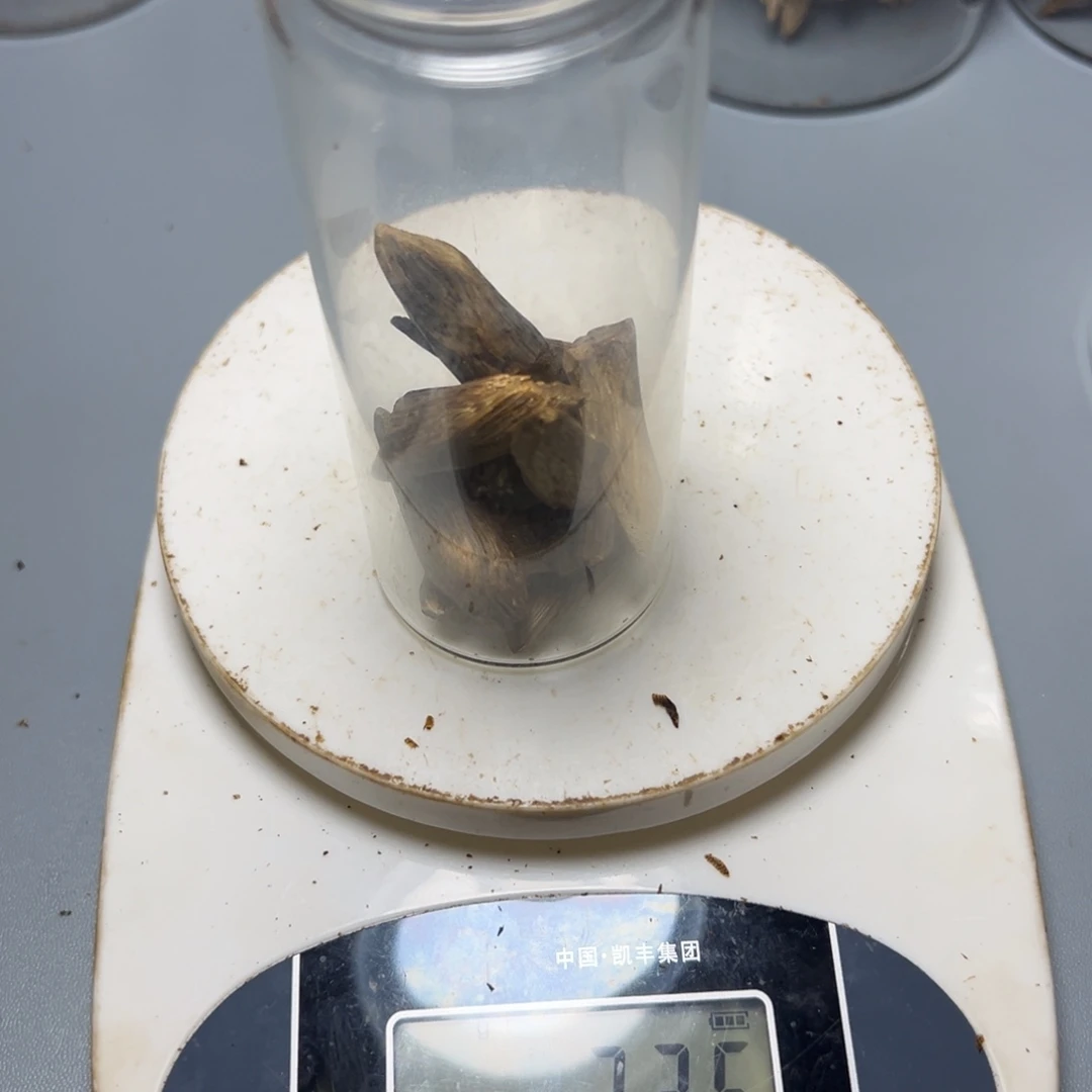 宏***械树脂制品海南树丁22g
