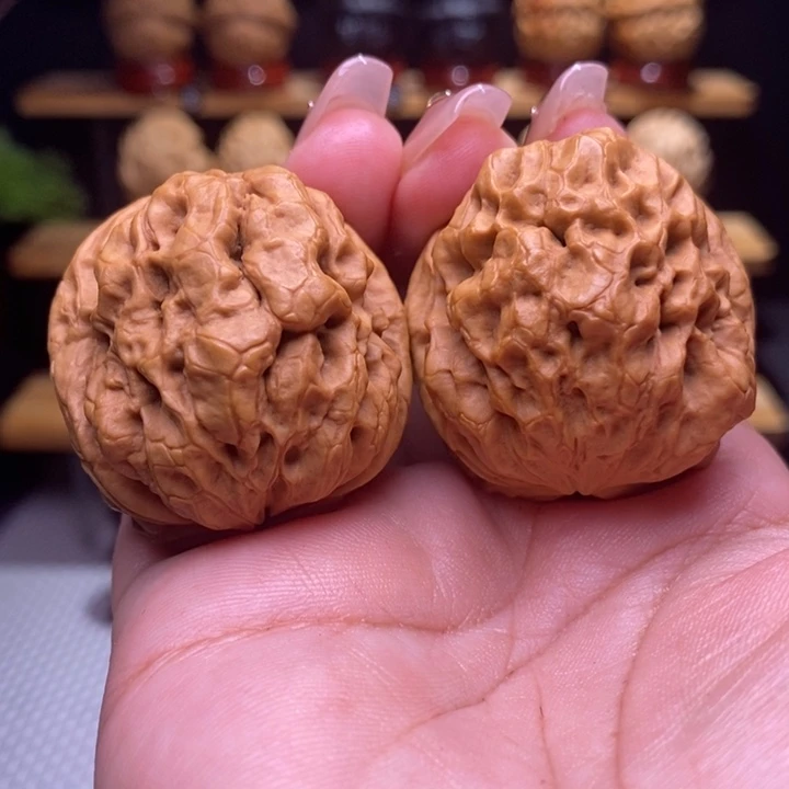 木质类云铁龙甲29号39尺