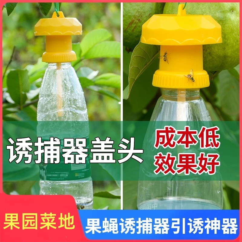 简易果蝇捕器盖头果园瓜地桔小实蝇针锋瓜蝇诱引捕捉诱剂果蝇药