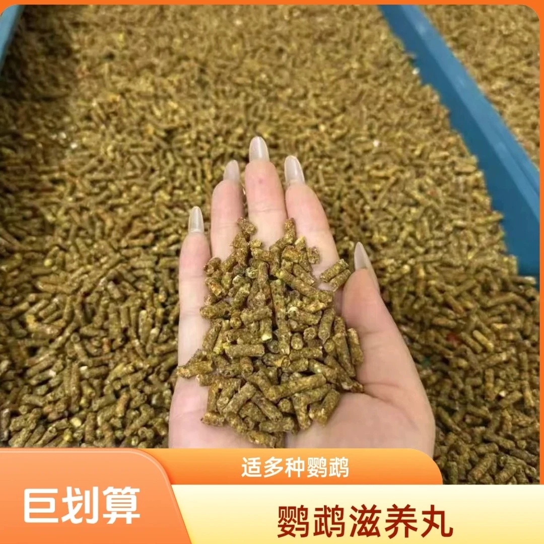 鹦鹉通用滋养丸适合牡丹玄风小太阳和尚等多种鹦鹉