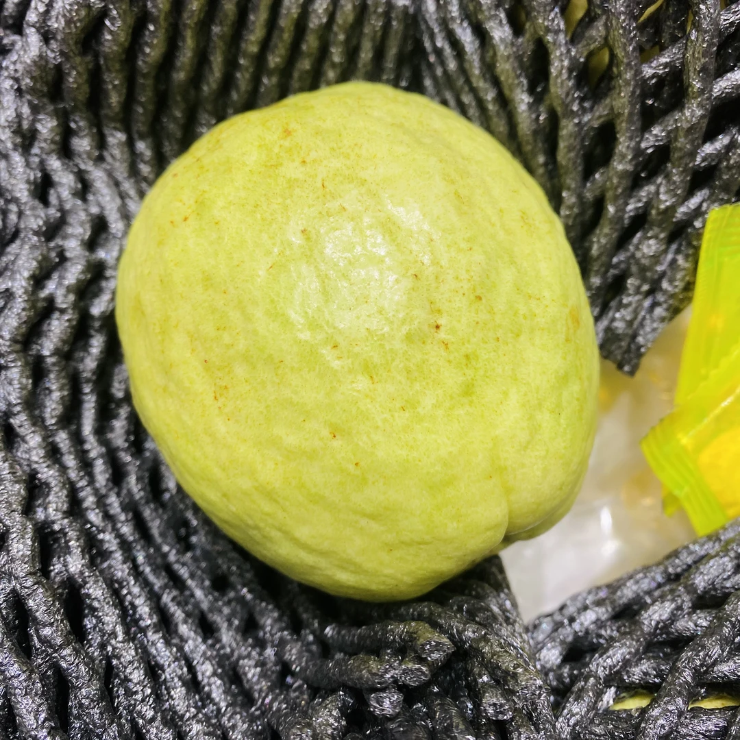 【磊哥心选】树熟奶油白心芭乐一箱5.3斤左右