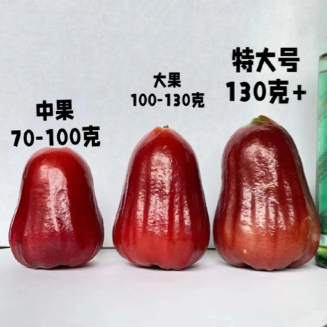 海南黑金刚莲雾新鲜采摘多汁热带水果顺丰包邮