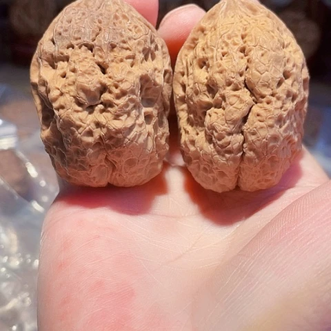 把件文玩核桃霸王龙带彩46