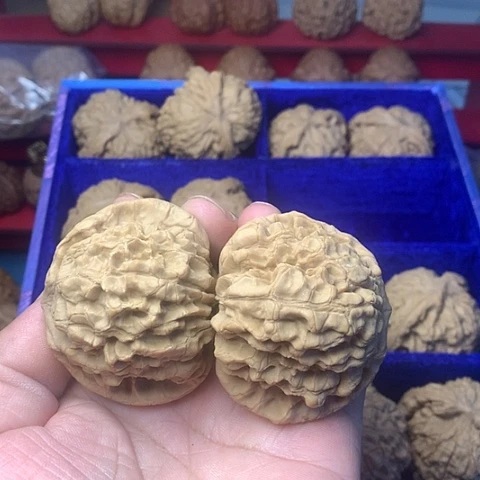 把件文玩核桃铁***木57尺大龙鼎