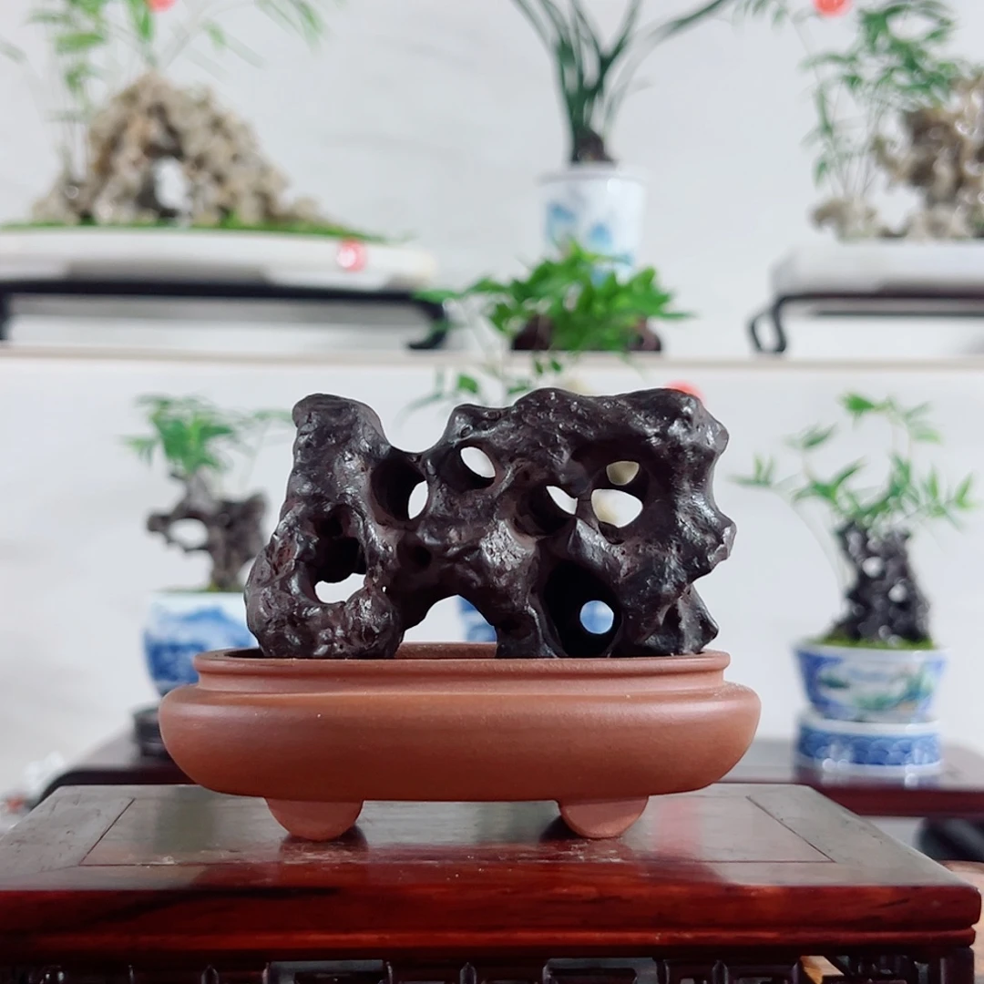 峰***骑无花朵盆景，太湖石，，，，，