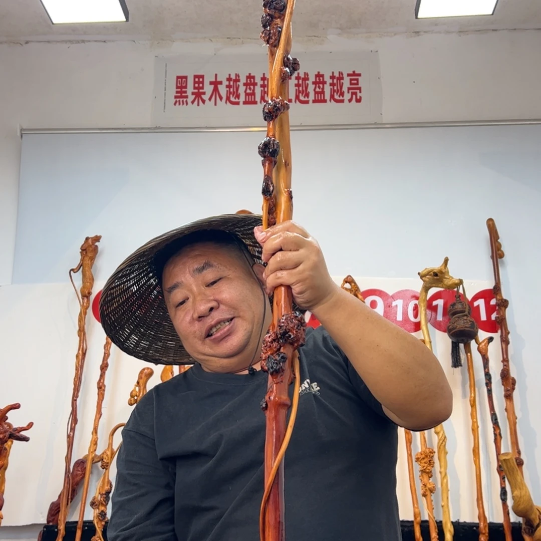 待***宾其他黑果木黑果木264
