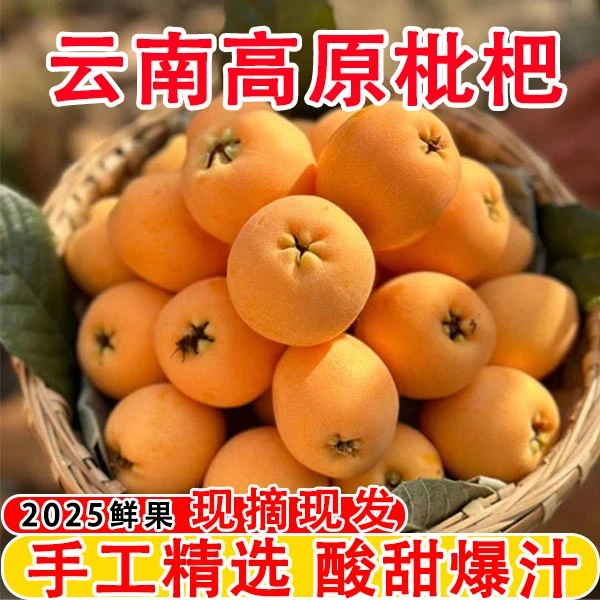 【当天采摘】正宗云南蒙自枇杷孕妇新鲜爆汁净重当季大果现摘现发