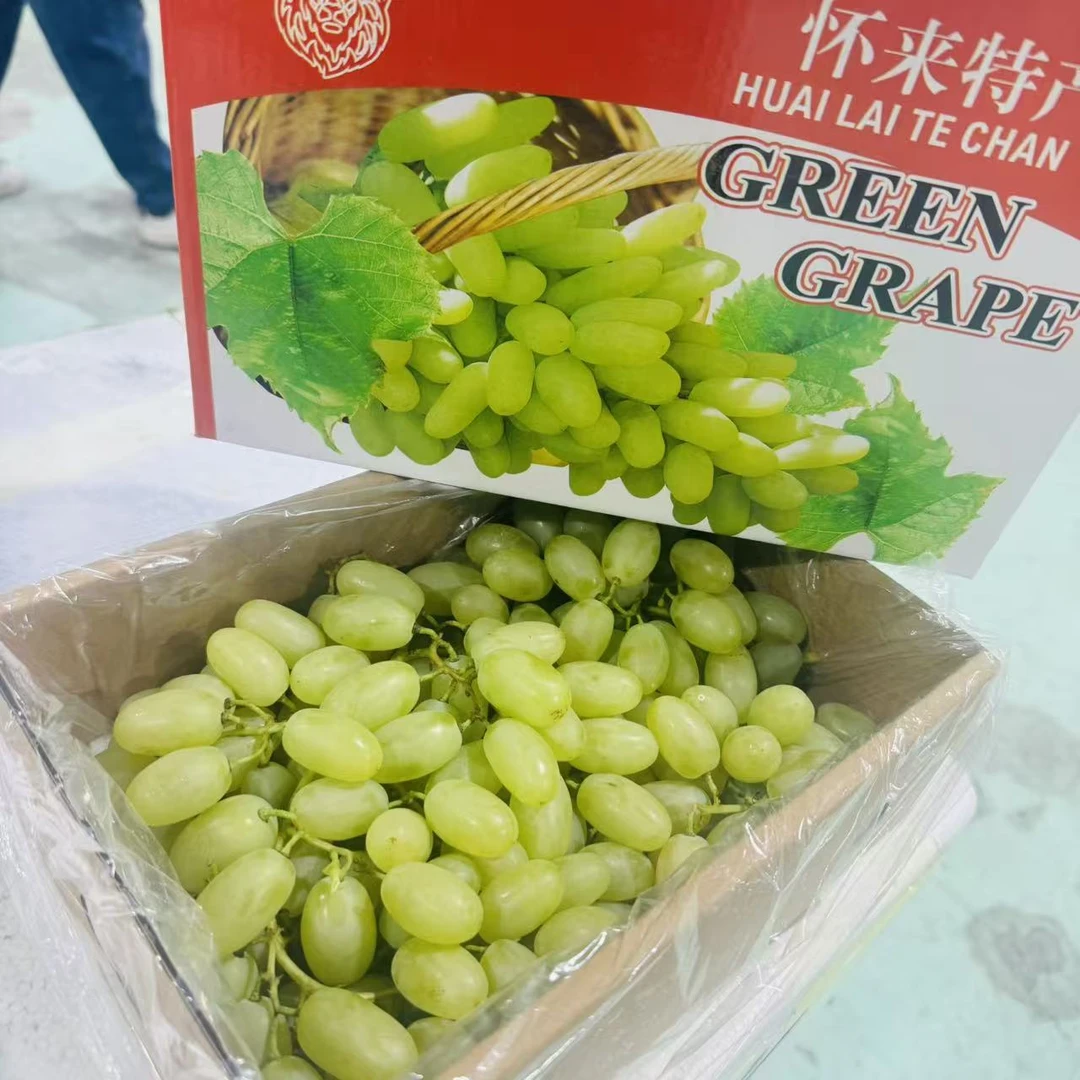 【 只发山西省内】 怀来马奶提子 脆甜好吃 一箱3.5斤左右