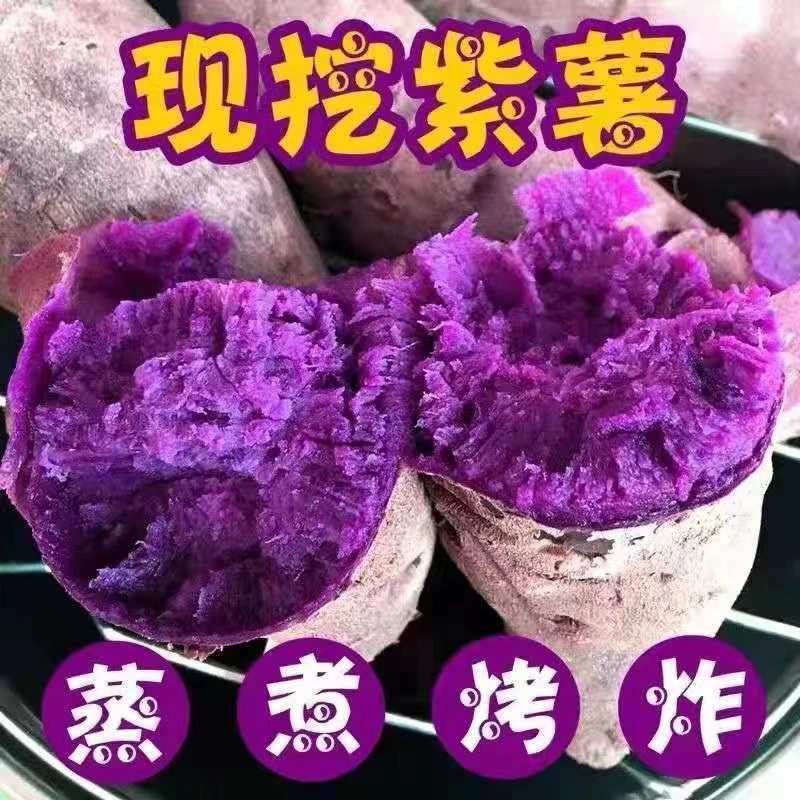 2025年紫薯新鲜现挖湖北紫罗兰番薯紫心地瓜蜜薯5斤装