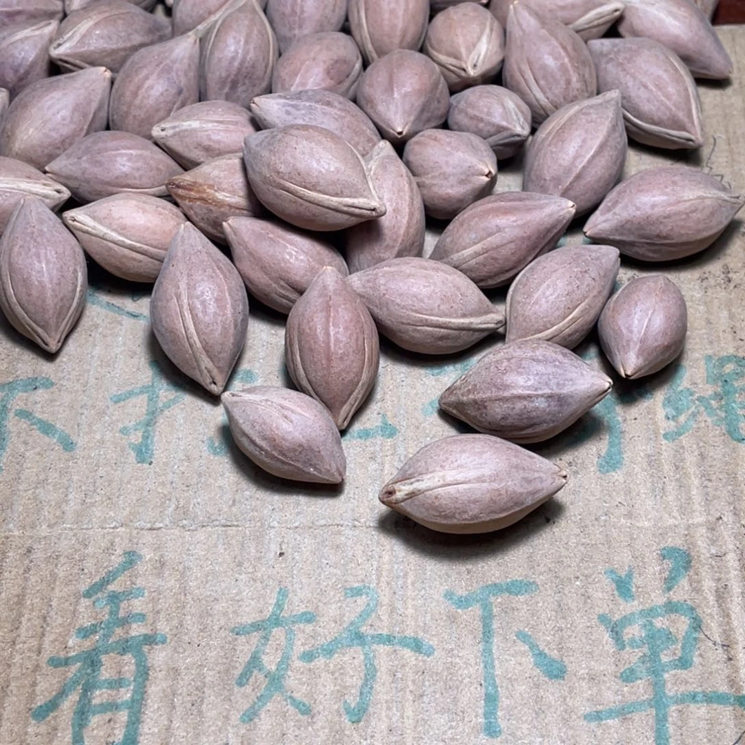 峡***哥橄榄核吊坠不退不换