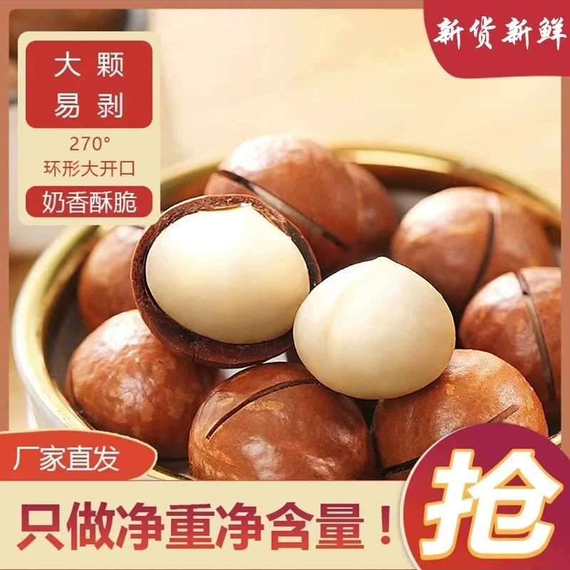 【可试吃五颗】25年新货夏威夷果500g大颗粒奶香原味甑选送开口器