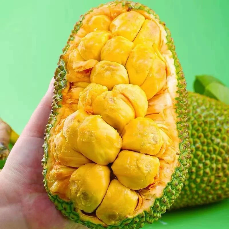 【放熟再开】海南特产木菠萝榴 莲蜜尖蜜拉1-7斤树菠萝