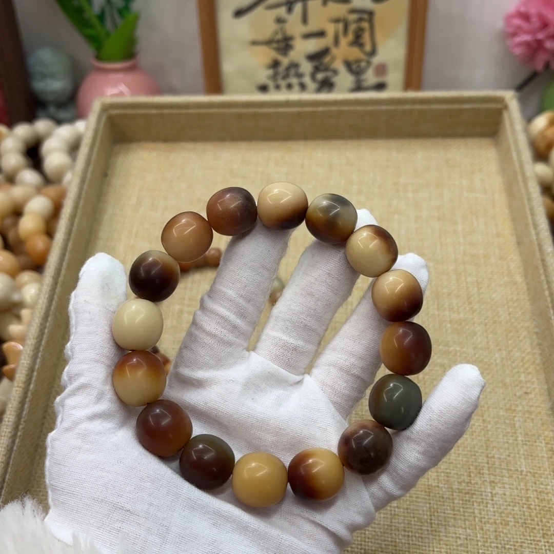 吊坠菩提根/象牙果16干磨瑕疵落地果772