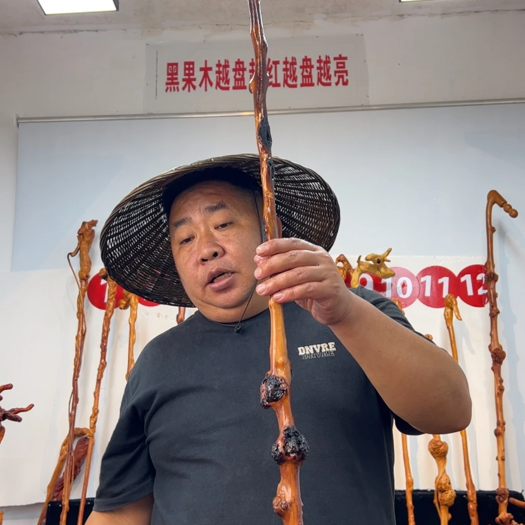 奔***乐黑果木其他黑果木096