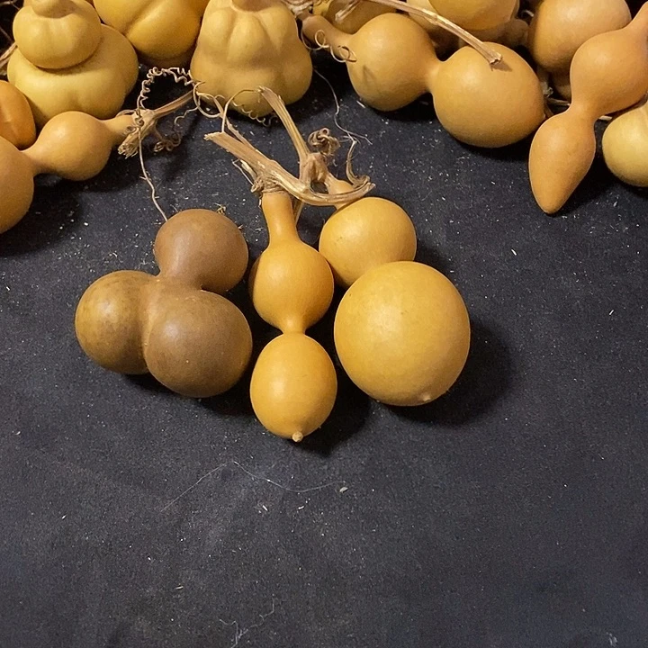 不**心葫芦的颜色是蓝色还是