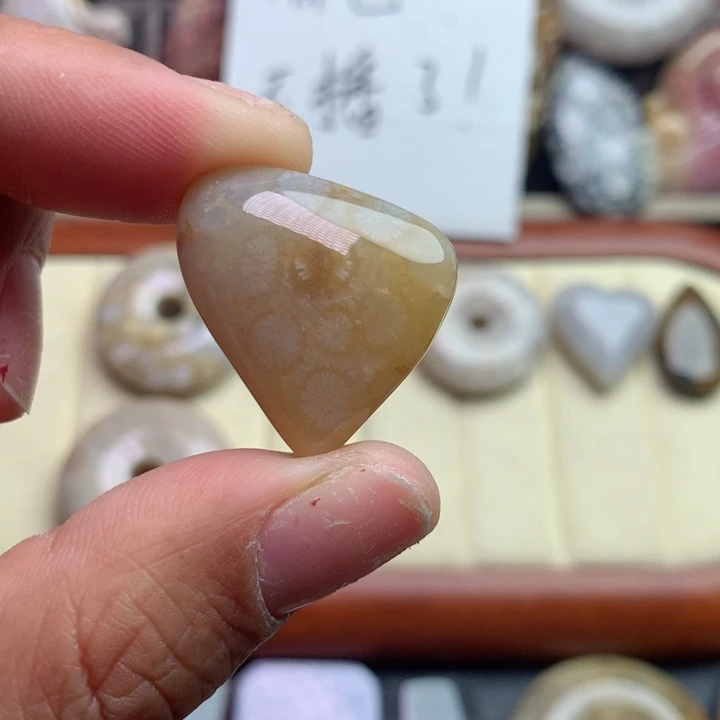 硅化珊瑚（珊瑚玉）颈饰未镶嵌