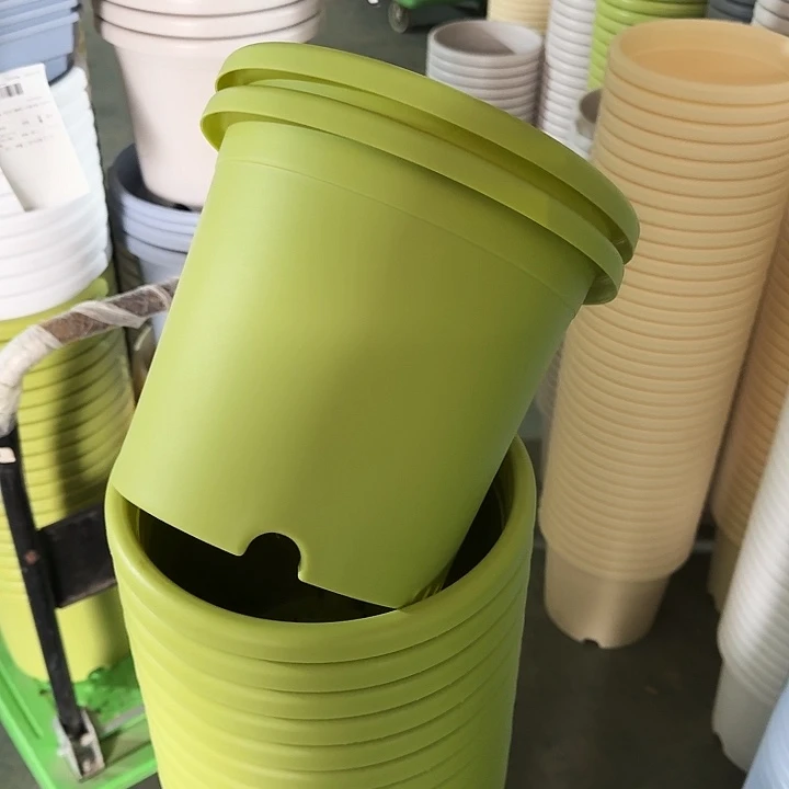 四季4#口径25果绿8个无托