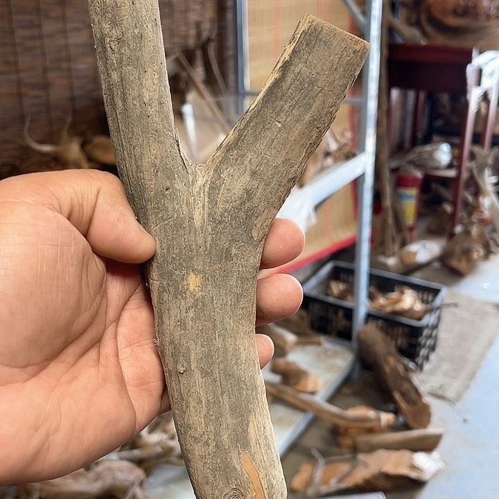 明***新柏木（崖柏）E66666666