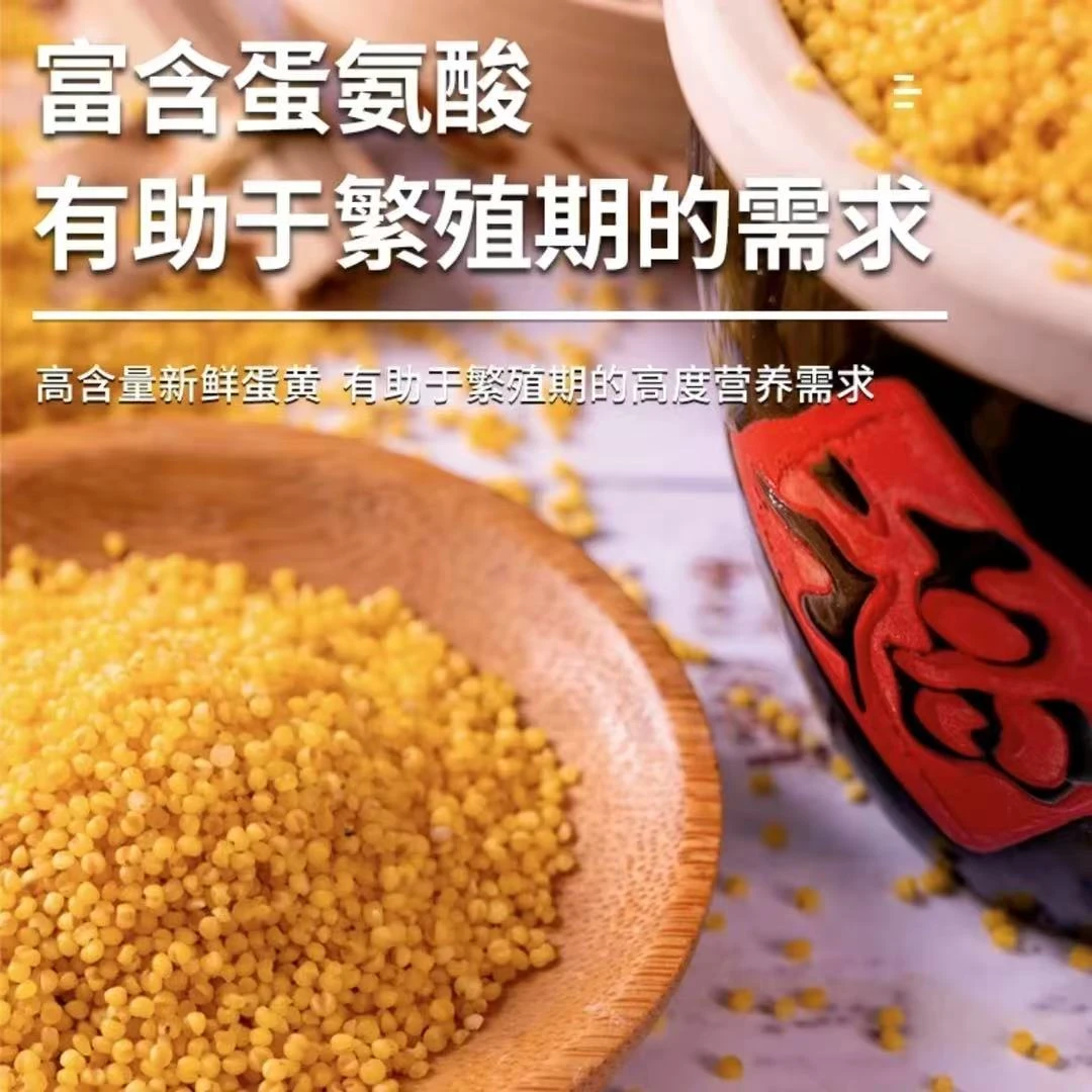 鹦鹉鸟食专用蛋小米