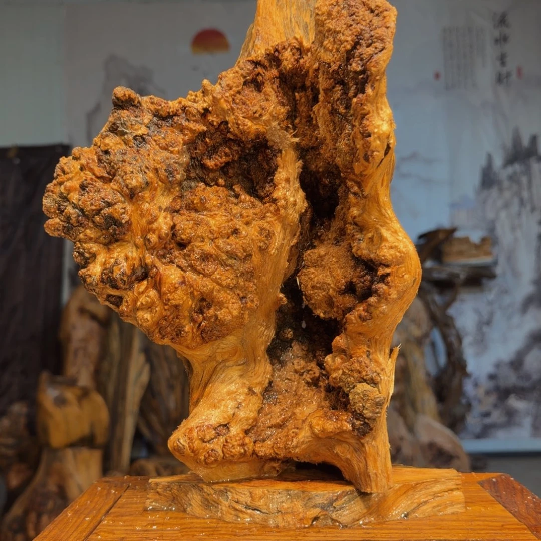 空***空木三丰琥珀木 天然摆件26