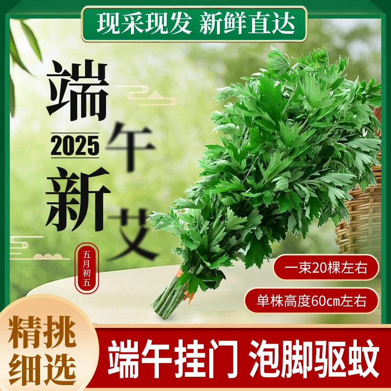 2025新鲜艾草整棵全株带杆端午节装饰挂门窗家用泡脚驱蚊长条艾草