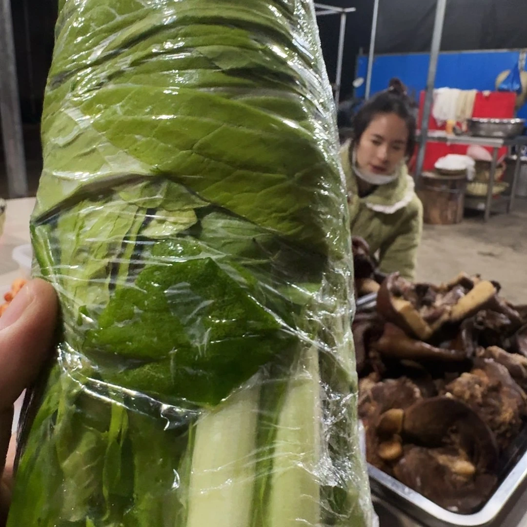 早***人白菜中国大陆青菜