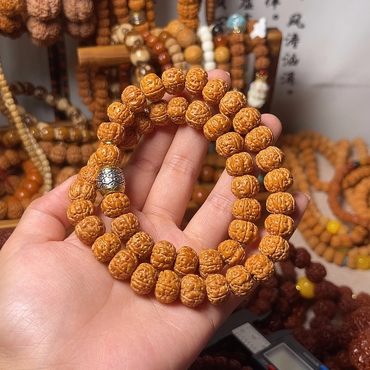 毛****吊坠金刚菩提11条