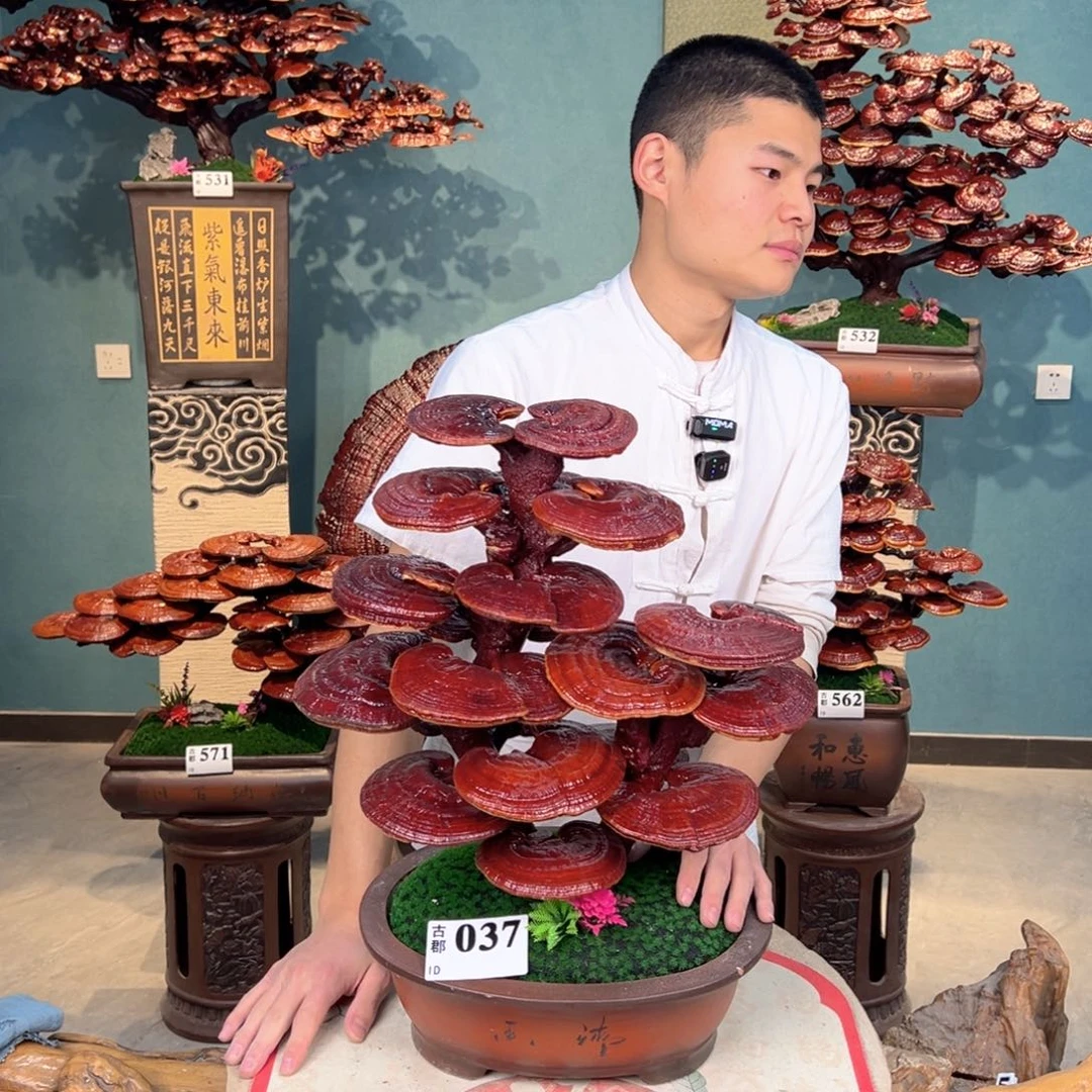 无花朵88888888888