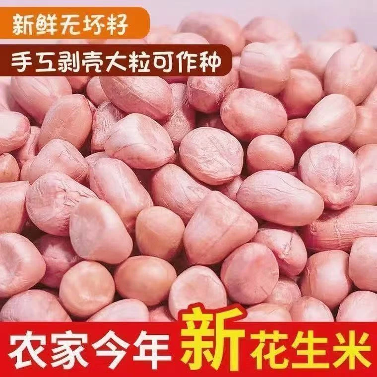 2025年新鲜大白沙花生米现剥新鲜甘甜粉红皮花生米无壳大颗粒油炸