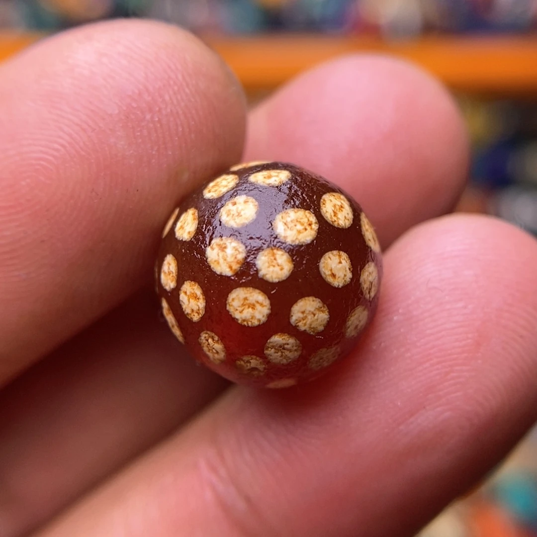 【闪购商品】满天星 尺寸14