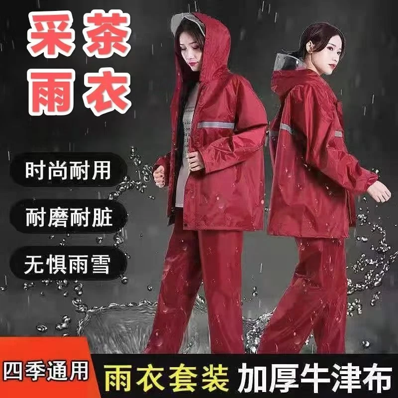 加厚牛筋采茶专用耐磨耐刮防暴雨分体雨衣雨裤男工地干活女成人
