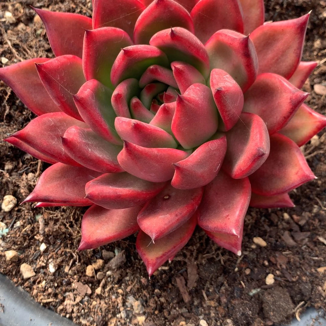 公***财超级弗兰克00000000