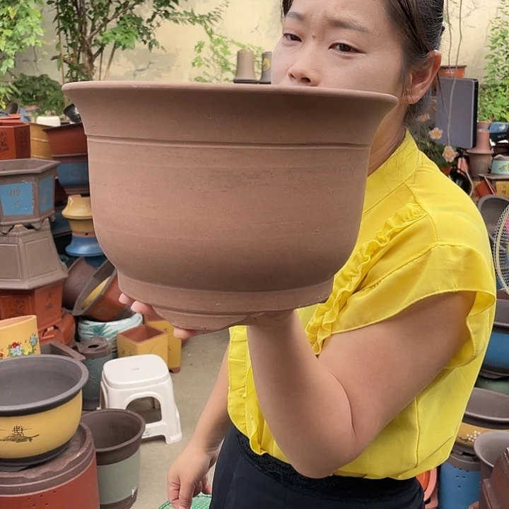花盆紫砂花盆紫砂黄金