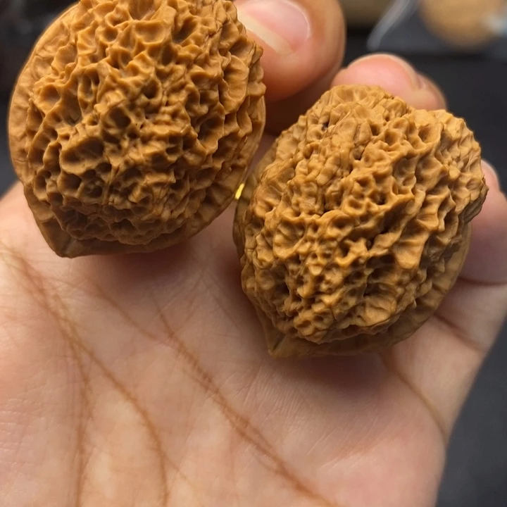 把件文玩核桃39尺荒古金蟾