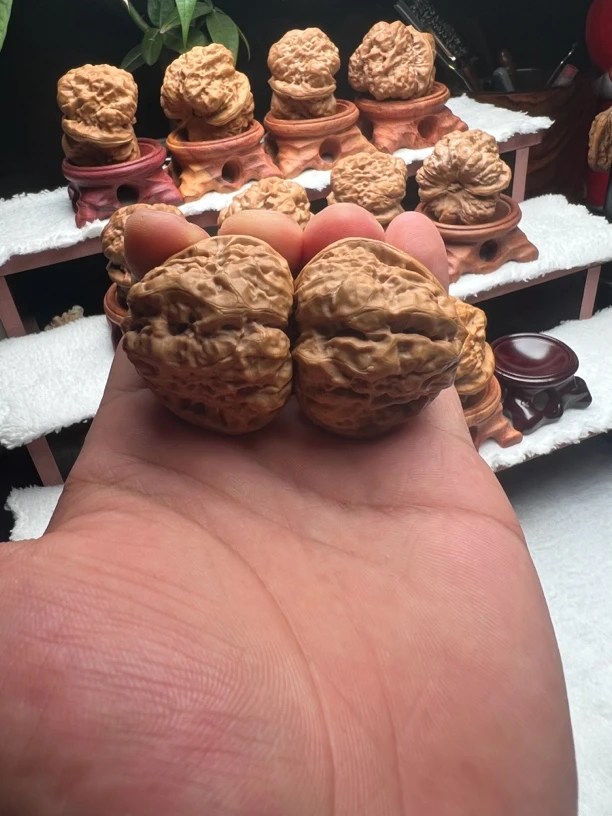 金蝉蛤蟆头文玩核桃