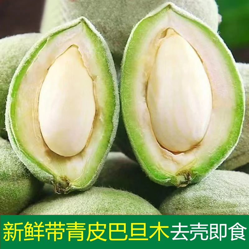 新鲜巴旦木现摘现发湿巴旦木应季孕妇水果带青壳即食大杏仁八达木
