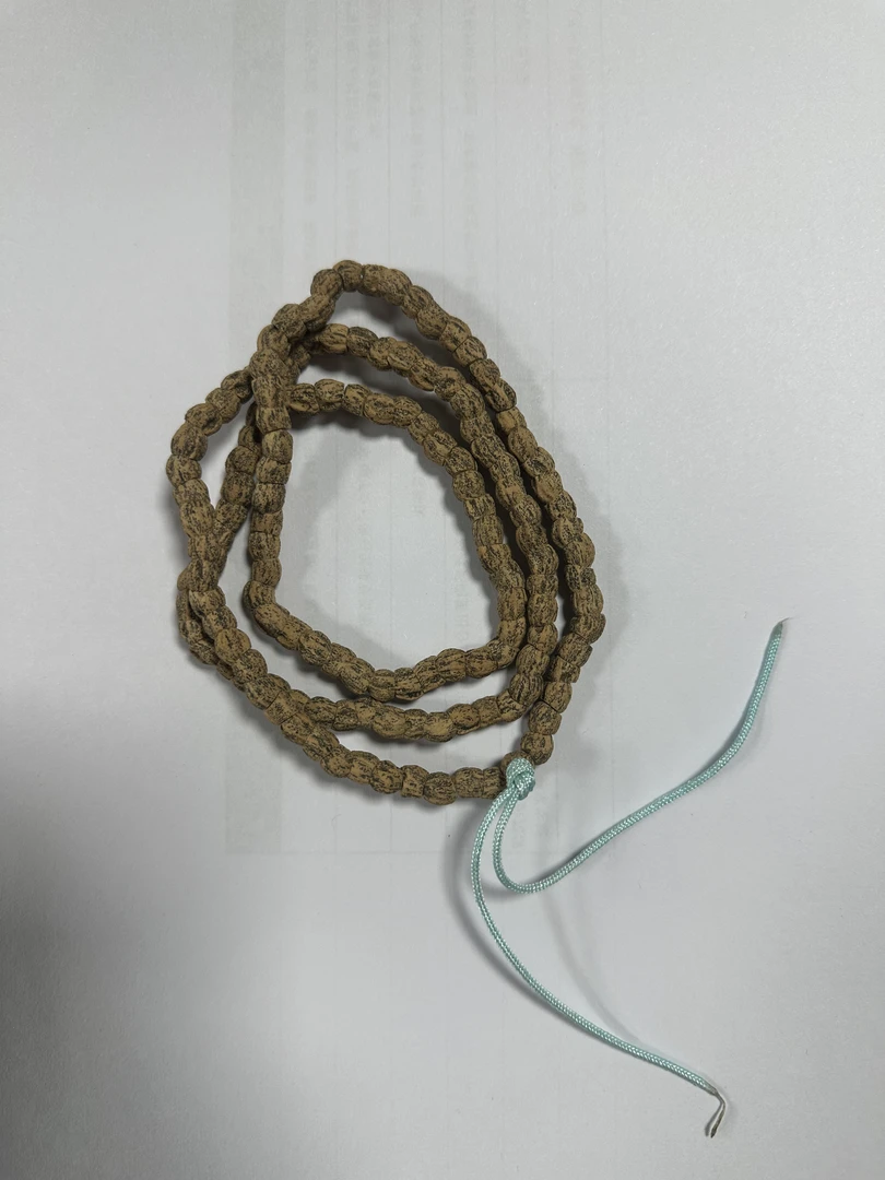 热振柏香籽大肠单条