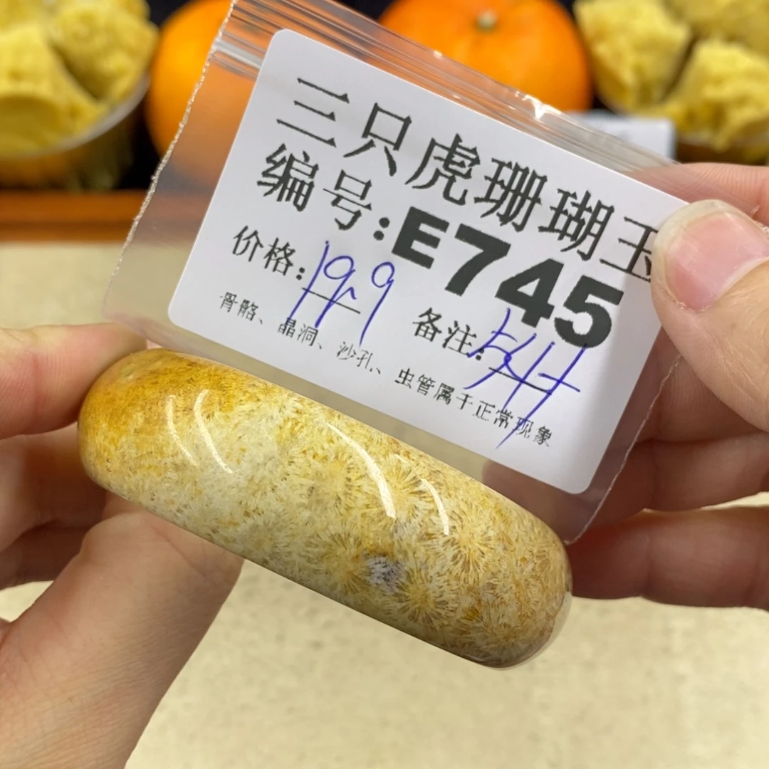 硅化珊瑚（珊瑚玉）1未镶嵌?****