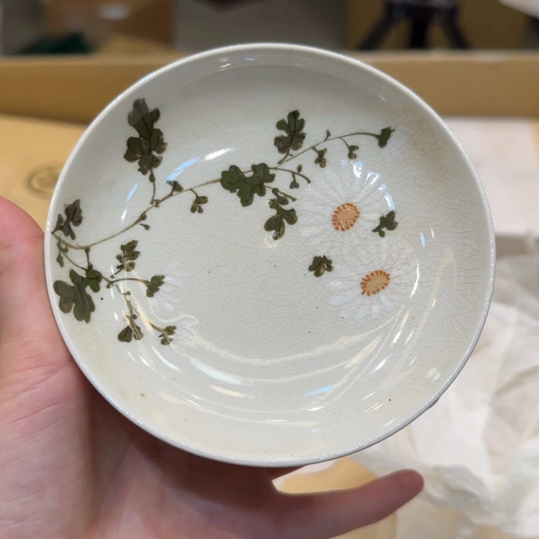 紫砂哈哈哈哈哈哈哈哈