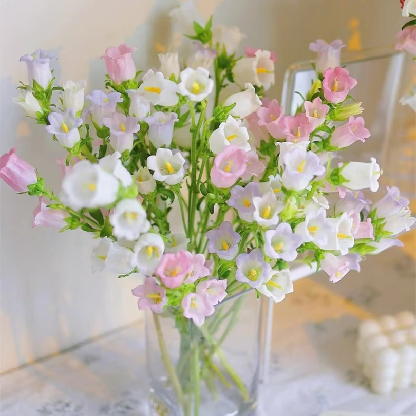 风铃花【0度以下气温不拍保温棉不售后】