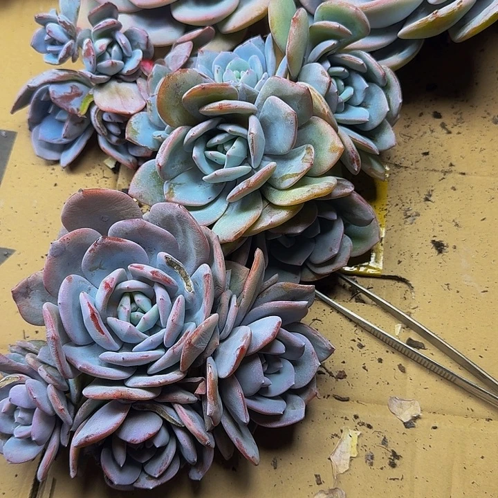 小***.哈哈哈哈哈哈哈哈哈哈