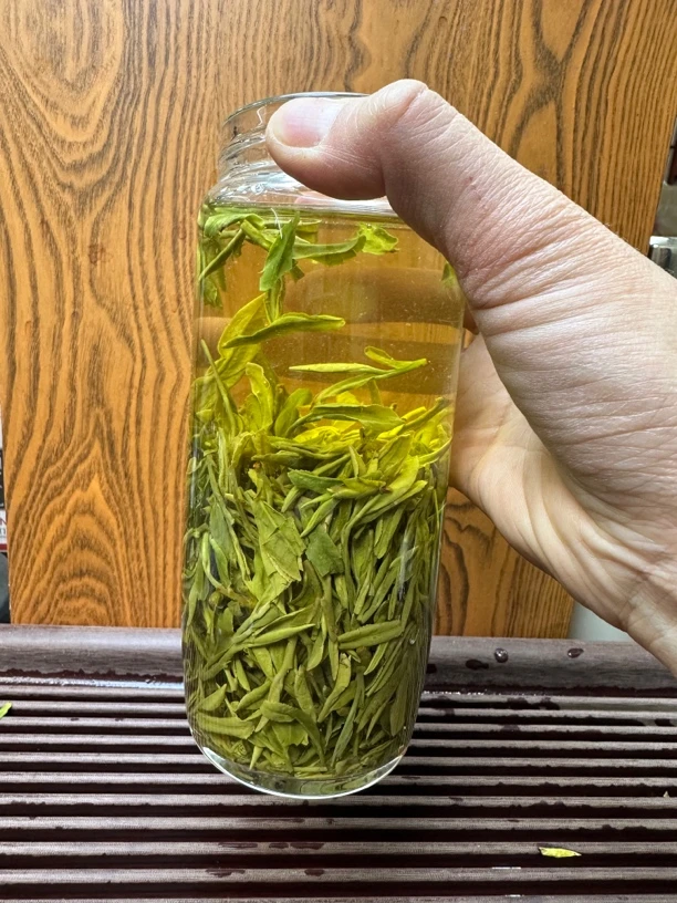 新茶浓香龙井1-8-8#鲜甜香浓500克送杯