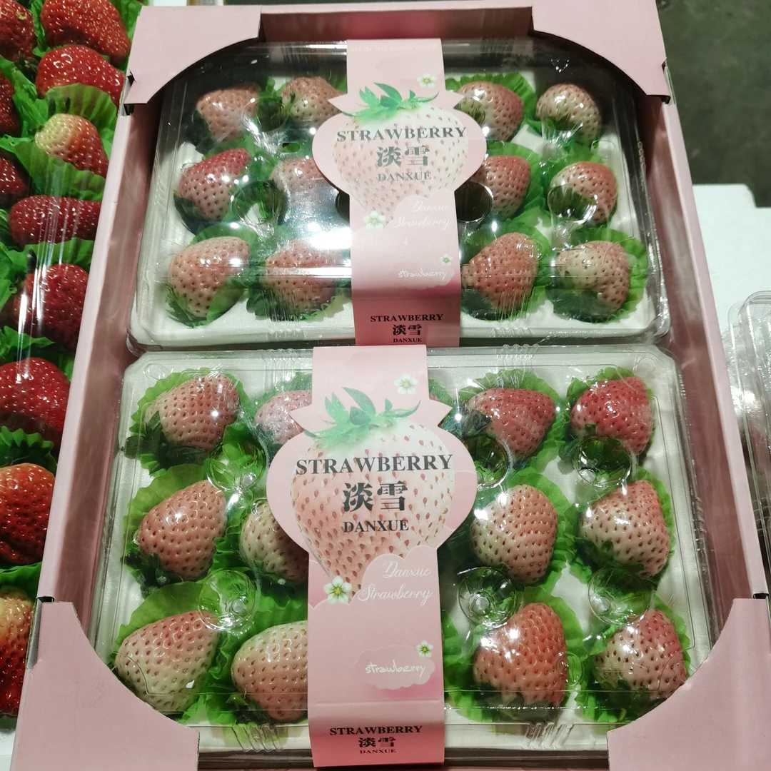 淡雪15颗两盒装