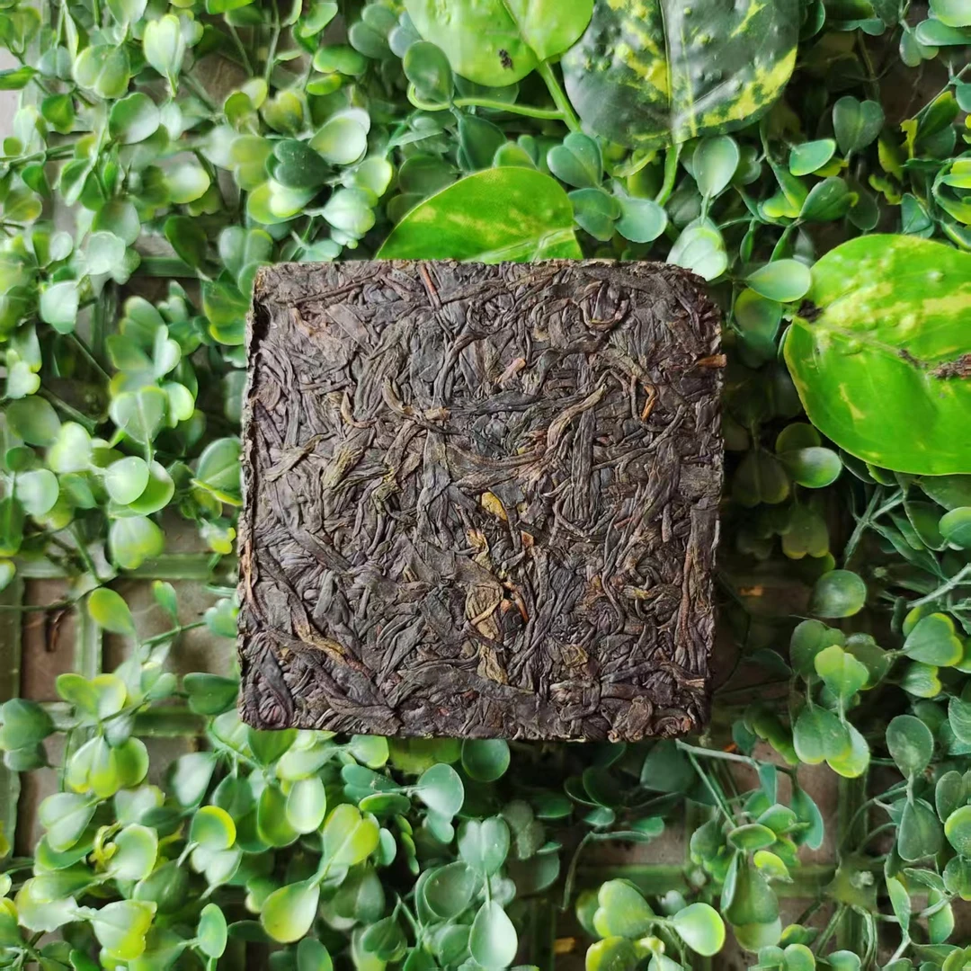 雨腾古茶 “301 N楼”天X 苑"XN"紫芽茶200g/砖 生茶（6月14）