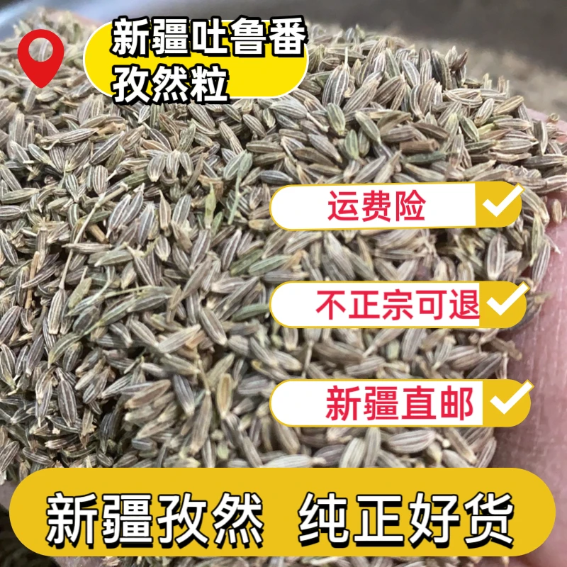 25年新货香料孜然粉正宗新疆烧烤炸串撒料烤肉调味料吐鲁番孜然