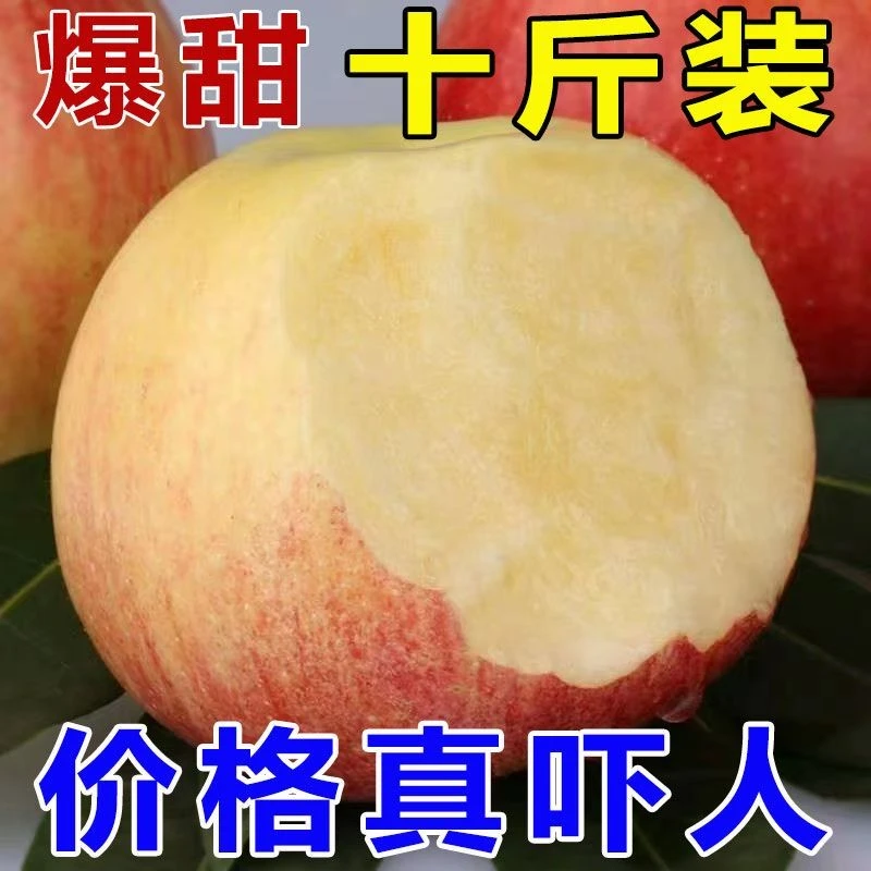 正宗产地新鲜现摘甘肃红富士苹果脆甜可口当季水果